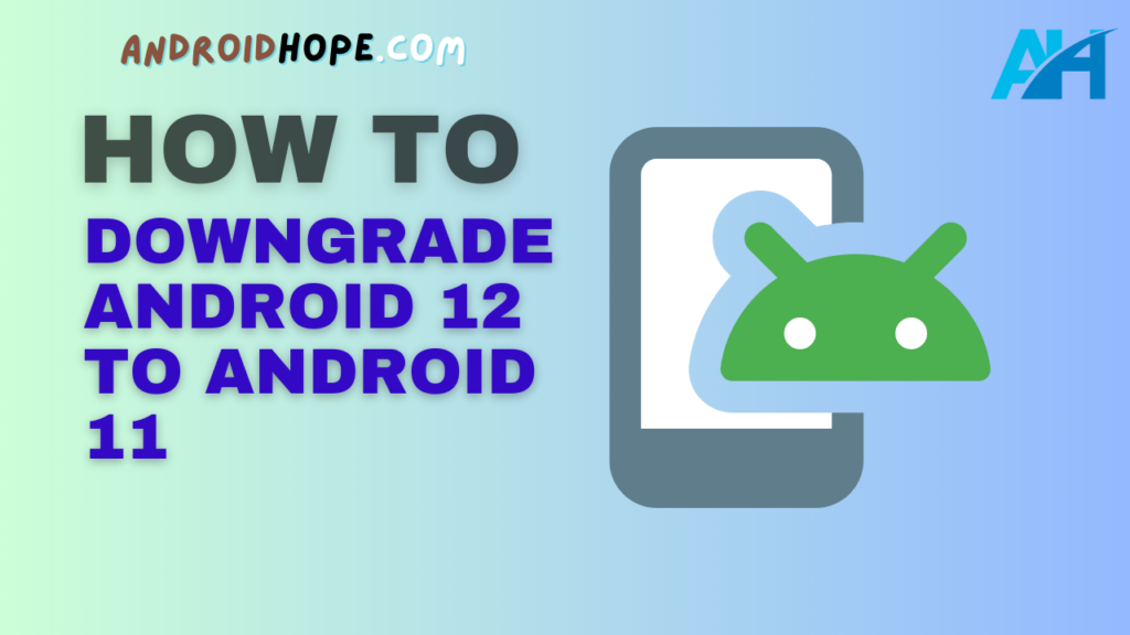 How to Downgrade Android 12 to Android 11